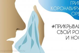 Профилактика гриппа и ОРВИ в рамках реализации коммуникационной стратегии «Санпросвет» федерального проекта «Санитарный щит страны – безопасность для здоровья. Предупреждение, выявление, реагирование»