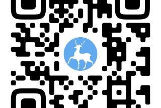 Группа МБОУ 'Школа № 37' вконтакте